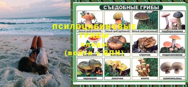 ПСИЛОЦИБИНОВЫЕ ГРИБЫ Арсеньев