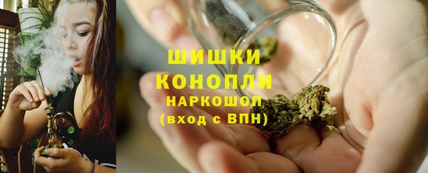 ПСИЛОЦИБИНОВЫЕ ГРИБЫ Арсеньев