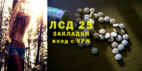 ПСИЛОЦИБИНОВЫЕ ГРИБЫ Арсеньев