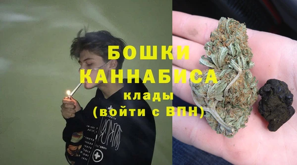 ПСИЛОЦИБИНОВЫЕ ГРИБЫ Арсеньев