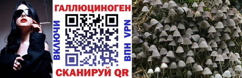 Галлюциногенные грибы мухоморы  как найти наркотики  Болохово 